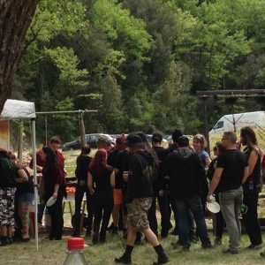 Les concerts en Cévennes