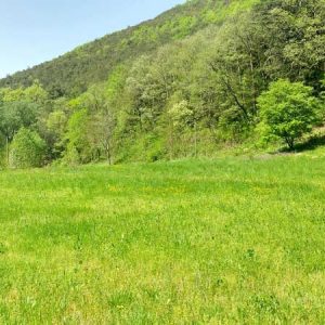Espaces en pleine nature dans les Cévennes