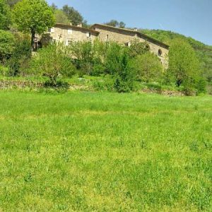 Espaces en pleine nature dans les Cévennes