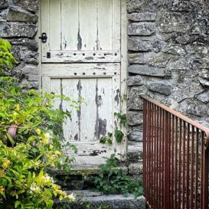 Espaces en pleine nature dans les Cévennes