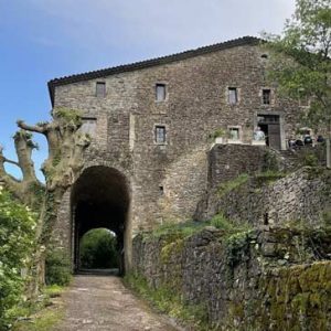 Espaces en pleine nature dans les Cévennes