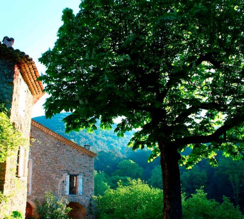les-cles-du-paradis-salle-location-mariage-gard-cevennes-herault-chambre-hote-nature-reception-terrasse-domaine16