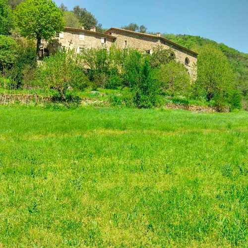 Des espaces en pleine nature dans les Cévennes